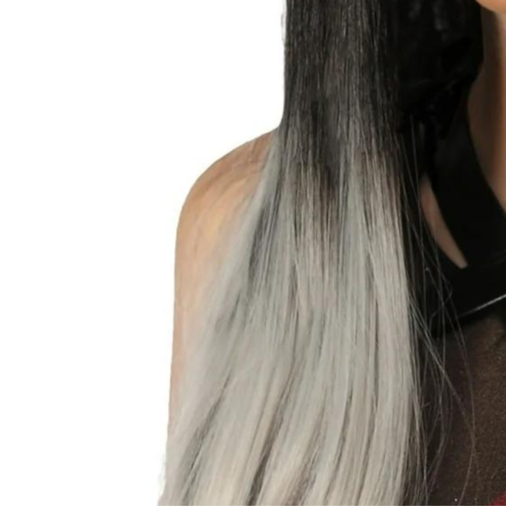 Women's Black and Grey Ombre Wig - Standard - Image 3